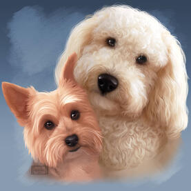 Commission - Pet Portrait